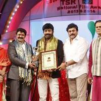 TSR TV9 National Film Awards 2015 Photos | Picture 1069375