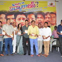 Where is VidyaBalan Movie Audio Launch Photos | Picture 1042963