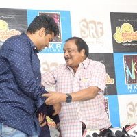 Jayammu Nischayammu Raa Movie Press Meet Photos