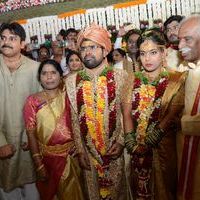 Bandaru Dattatreya Daughter Wedding Photos | Picture 1438827