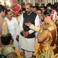 Bandaru Dattatreya Daughter Wedding Photos | Picture 1438768