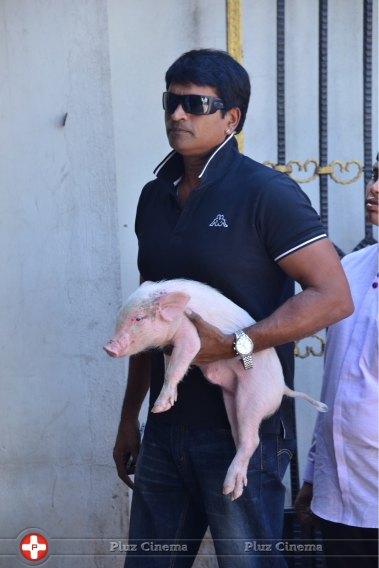 Ravi Babu - Ravibabu in ATM Queue with Piglet Photos | Picture 1438324