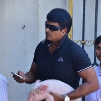 Ravi Babu - Ravibabu in ATM Queue with Piglet Photos