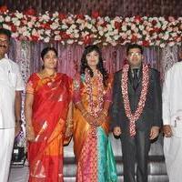 Sekhar Chandra Madhuri Wedding Reception Photos | Picture 658804