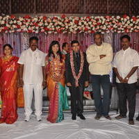 Sekhar Chandra Madhuri Wedding Reception Photos