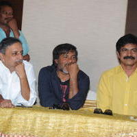 Venkatadri Express Movie Success Meet Pictures | Picture 658256