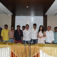 Venkatadri Express Movie Success Meet Pictures | Picture 658275