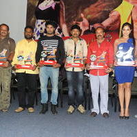 Aadu Magadura Bujji Platinum Disc Function Photos