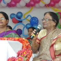 Bellamkonda Suresh Birthday Celebrations 2013 Photos