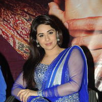 Mandy Takhar - Biryani Movie Audio Launch Photos | Picture 664023