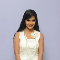 Madhumitha Latest Images at Biriyani Movie Audio Launch | Picture 664364