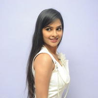 Madhumitha Latest Images at Biriyani Movie Audio Launch | Picture 664406