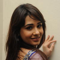 Mandy Takhar Latest Photos at Biriyani Movie Audio Launch | Picture 664559