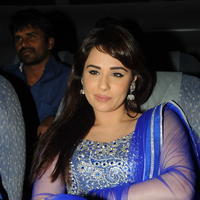 Mandy Takhar Latest Photos at Biriyani Movie Audio Launch | Picture 664446