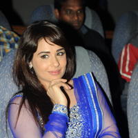 Mandy Takhar Latest Photos at Biriyani Movie Audio Launch | Picture 664455