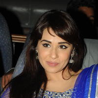 Mandy Takhar Latest Photos at Biriyani Movie Audio Launch | Picture 664470