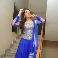 Mandy Takhar Latest Photos at Biriyani Movie Audio Launch | Picture 664491