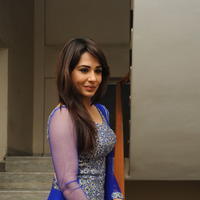 Mandy Takhar Latest Photos at Biriyani Movie Audio Launch | Picture 664503