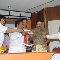 Venditera Vishada Raagalu Book Launch Photos
