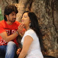 Cut Chesthe Movie Latest Photos | Picture 665299