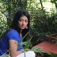 Tejaswini Prakash - Cut Chesthe Movie Latest Photos