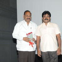 Cut Chesthe Movie Audio Launch Pictures | Picture 665238