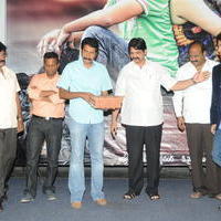 Cut Chesthe Movie Audio Launch Pictures | Picture 665272