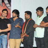 Cut Chesthe Movie Audio Launch Pictures