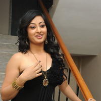 Tanishka Hot Photos At Cut Chesthe Movie Audio Launch | Picture 667009