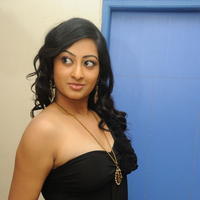 Tanishka Hot Photos At Cut Chesthe Movie Audio Launch | Picture 667088