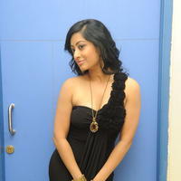 Tanishka Hot Photos At Cut Chesthe Movie Audio Launch | Picture 667107