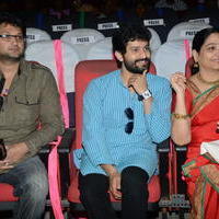 Vani Jayaram receives P. Susheela award 2013 Stills | Picture 667765