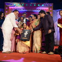 Vani Jayaram receives P. Susheela award 2013 Stills | Picture 667927