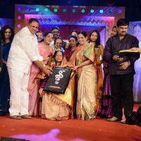 Vani Jayaram receives P. Susheela award 2013 Stills | Picture 667930