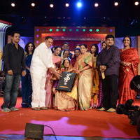 Vani Jayaram receives P. Susheela award 2013 Stills | Picture 667936