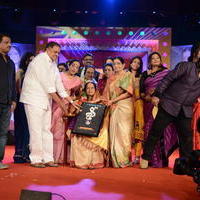 Vani Jayaram receives P. Susheela award 2013 Stills | Picture 667937