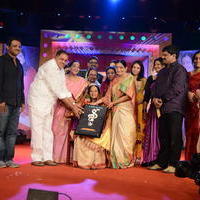 Vani Jayaram receives P. Susheela award 2013 Stills | Picture 667942