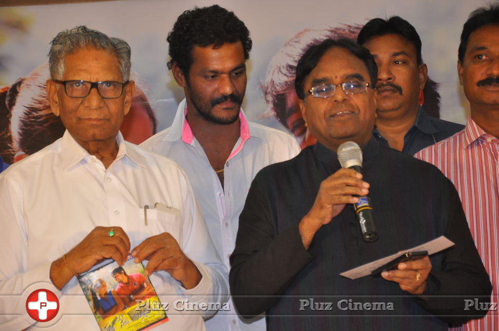 Tanu Nenu Mohammad Rafi Movie Audio Launch Photos | Picture 676147