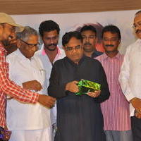 Tanu Nenu Mohammad Rafi Movie Audio Launch Photos | Picture 676129