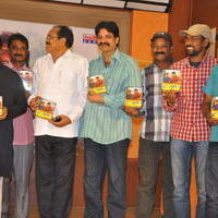 Tanu Nenu Mohammad Rafi Movie Audio Launch Photos | Picture 676136