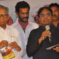Tanu Nenu Mohammad Rafi Movie Audio Launch Photos | Picture 676147