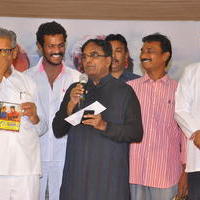 Tanu Nenu Mohammad Rafi Movie Audio Launch Photos | Picture 676148
