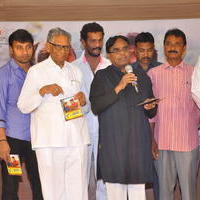 Tanu Nenu Mohammad Rafi Movie Audio Launch Photos | Picture 676150