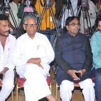 Tanu Nenu Mohammad Rafi Movie Audio Launch Photos | Picture 676163