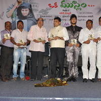 Oka Hindu Oka Muslim Audio Release Photos | Picture 678113