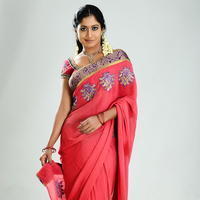 Actress Prameela Cute Saree Images | Picture 677553