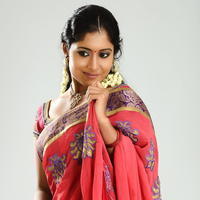 Actress Prameela Cute Saree Images | Picture 677556