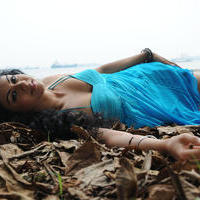 Kamna Jethmalani - Veediki Dookudekkuva Movie Stills | Picture 681745