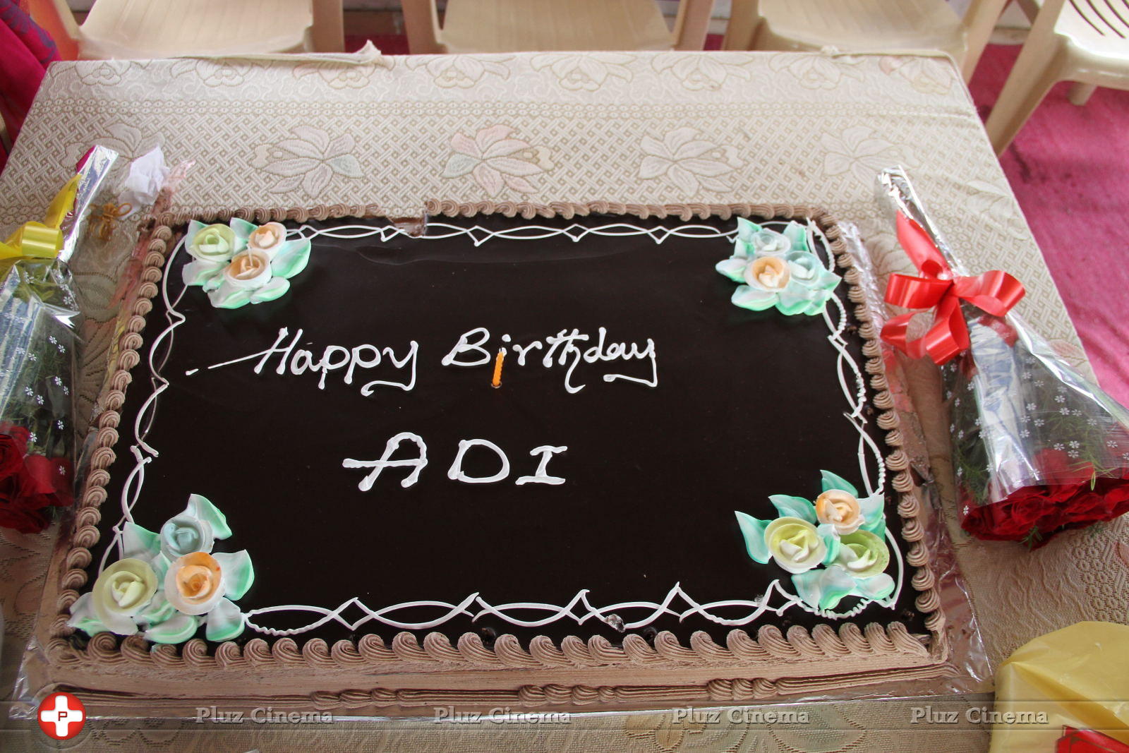 Aadi Birthday Celebrations 2013 Photos | Picture 685168