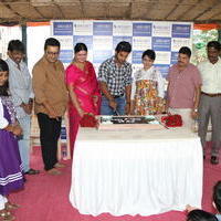 Aadi Birthday Celebrations 2013 Photos